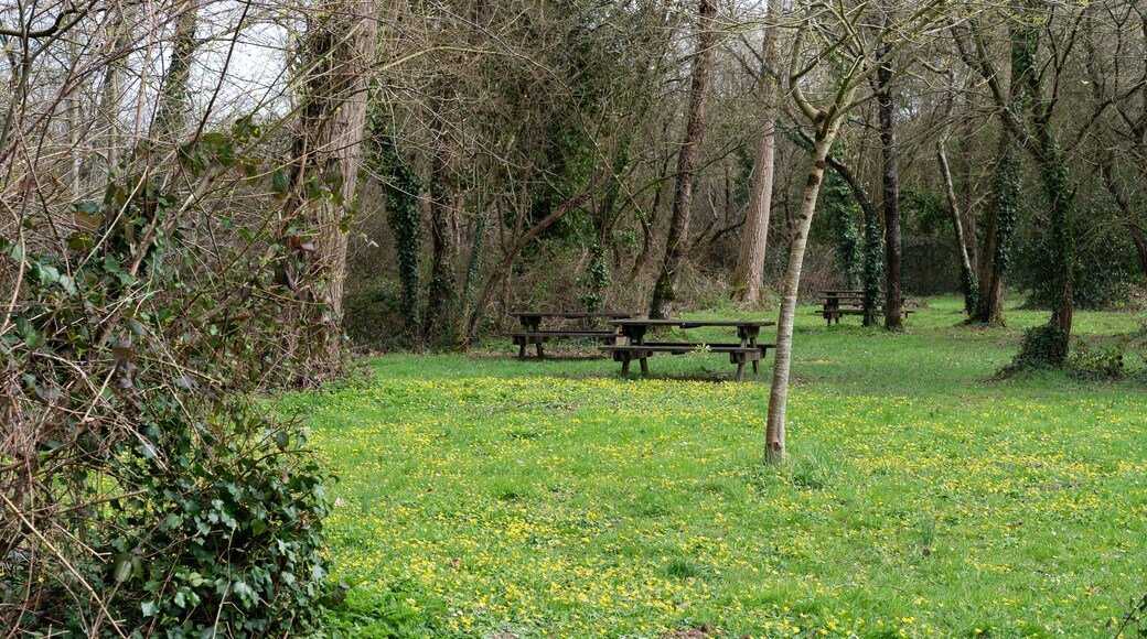 arrival of spring in a former career converted into a leisure park
