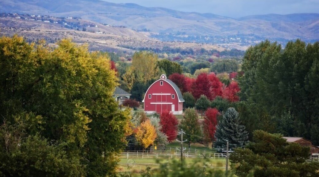 Enjoying a little Sunday morning coffee with a view of Downtown Boise in the background and a fabulous barn enveloped in the beauty of fall.