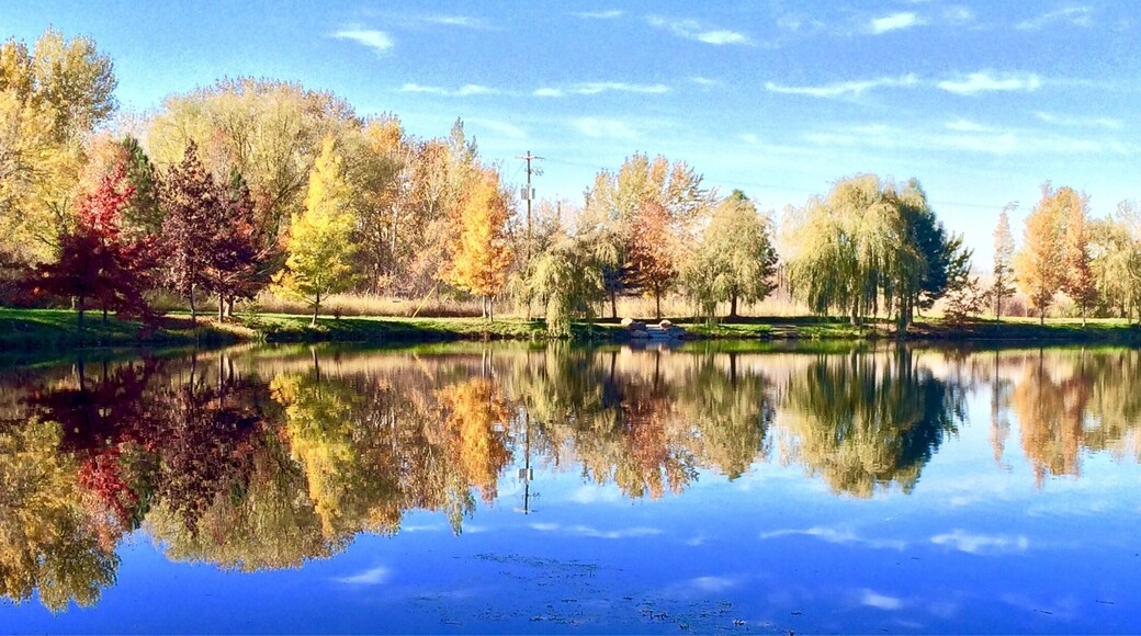 A view from the green belt just east of Reid Merrill Park in Eagle. This section of the Greenbelt has ponds and homes along it on one side and the Boise river on the other. Some of the homes around the ponds have docks for boats/canoes. The path goes from paved to dirt or packed gravel in spots but still rideable for most bikes. A loop ride starting at Reid Merril park, go east until forced to cross footbridge to south side of river (foot traffic can continue on north side on nature dirt trail towards Glenwood bridge) then head back west to eagle road where you ride on until you get to bridge then get back on path along south side of river. Cross 2 foot bridges to get back to park.
#EndlessSummer
