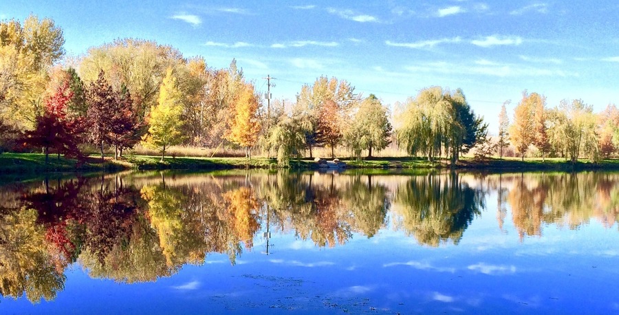 A view from the green belt just east of Reid Merrill Park in Eagle. This section of the Greenbelt has ponds and homes along it on one side and the Boise river on the other. Some of the homes around the ponds have docks for boats/canoes.   The path goes from paved to dirt or packed gravel in spots but still rideable for most bikes. A loop ride starting at Reid Merril park, go east until forced to cross footbridge to south side of river (foot traffic can continue on north side on nature dirt trail towards Glenwood bridge)  then head back west to eagle road where you ride on until you get to bridge then get back on path along south side of river. Cross 2 foot bridges to get back to park. 
#EndlessSummer