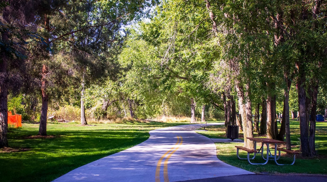 Stroll through a Boise Park