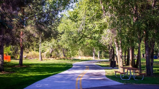 Stroll through a Boise Park