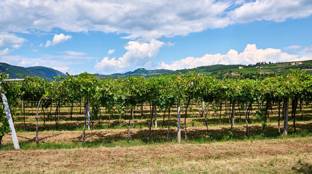 San Pietro in Cariano
