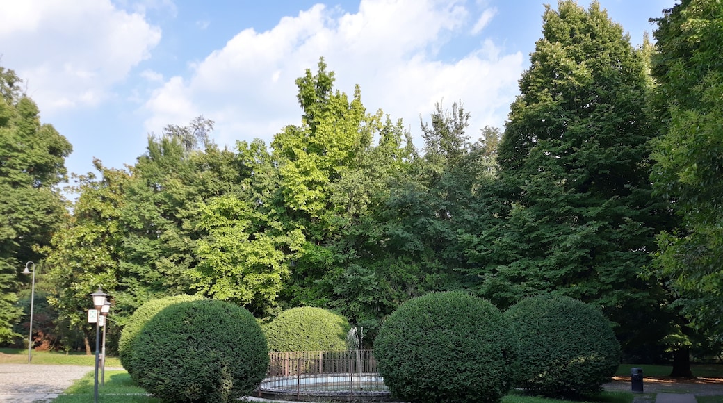 San Pietro in Cariano