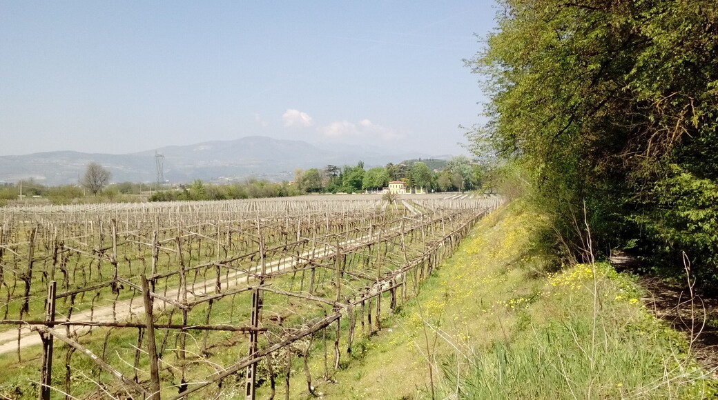 Vista sulle campagne di località Quar a Pedemonte, frazione di San Pietro in Cariano. Sullo sfondo si vede l'ingresso della villa Serego.
