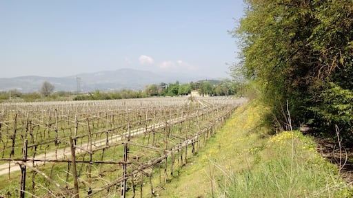 Vista sulle campagne di località Quar a Pedemonte, frazione di San Pietro in Cariano. Sullo sfondo si vede l'ingresso della villa Serego.
