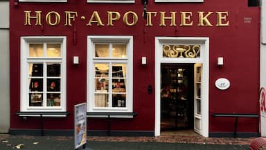 Hof-Pharmacy in the afternoon