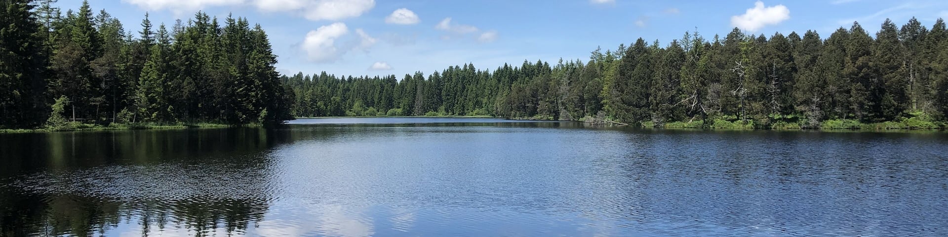 A calm lake surrounded by dense forest under a clear blue sky.