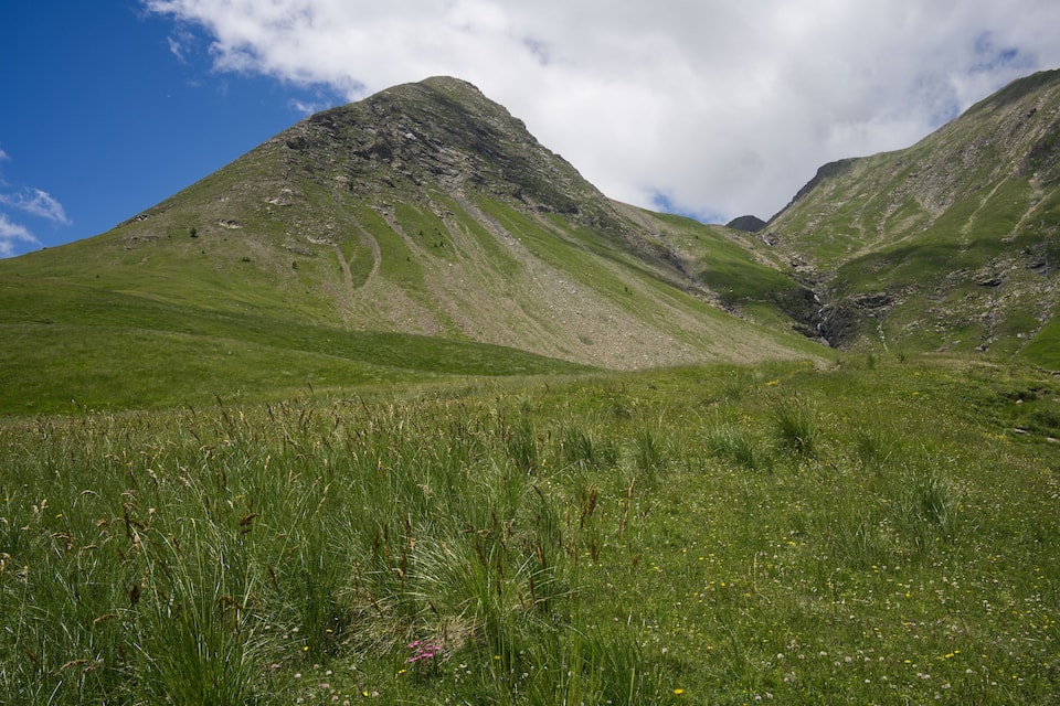 A grassy valley with a mountain in the background.