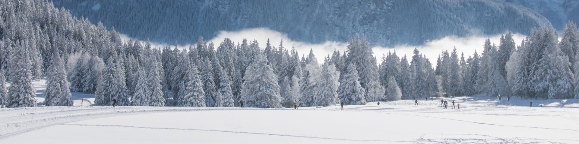 paysage de neige en hiver à Chamrousse dans le massif de Belledonne dans les alpes en France, sport d'hiver, pistes de ski de fond, sport, loisirs en hiver