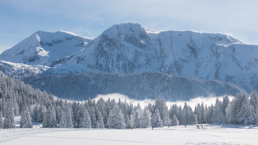 paysage de neige en hiver à Chamrousse dans le massif de Belledonne dans les alpes en France, sport d'hiver, pistes de ski de fond, sport, loisirs en hiver