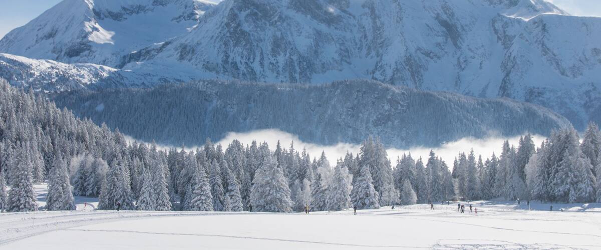 A snow-covered mountain range with a forested valley.