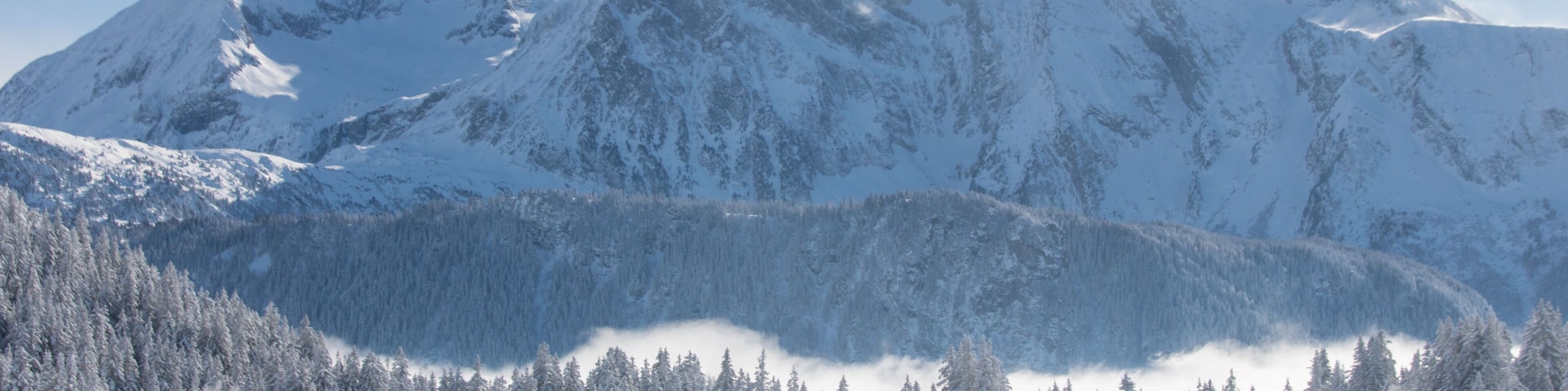 A snow-covered mountain range with a forested valley.