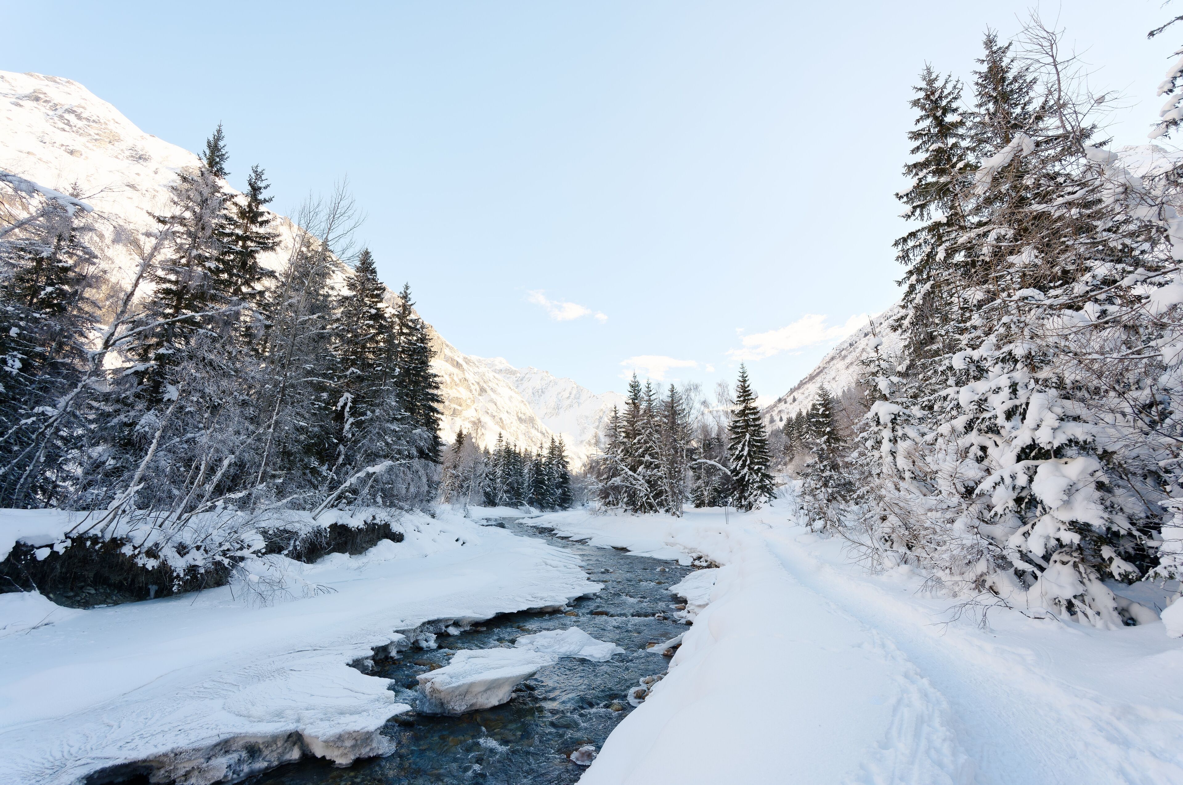 La rivière le Doron de Champagny et des arbres à Champagny-le-Haut, Champagny-en-Vanoise, sous la neige, en Savoie dans les Alpes, France