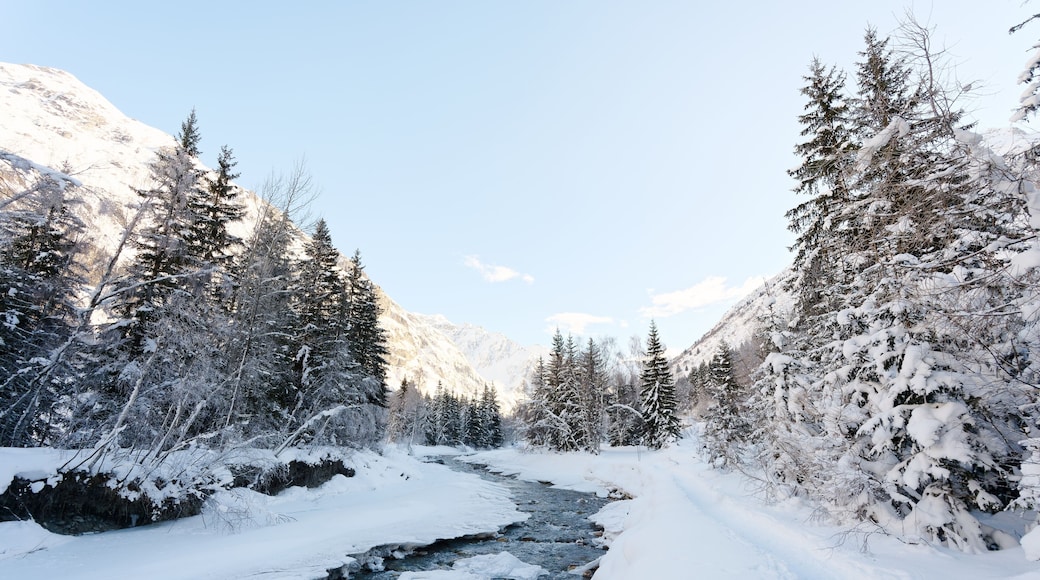 La rivière le Doron de Champagny et des arbres à Champagny-le-Haut, Champagny-en-Vanoise, sous la neige, en Savoie dans les Alpes, France