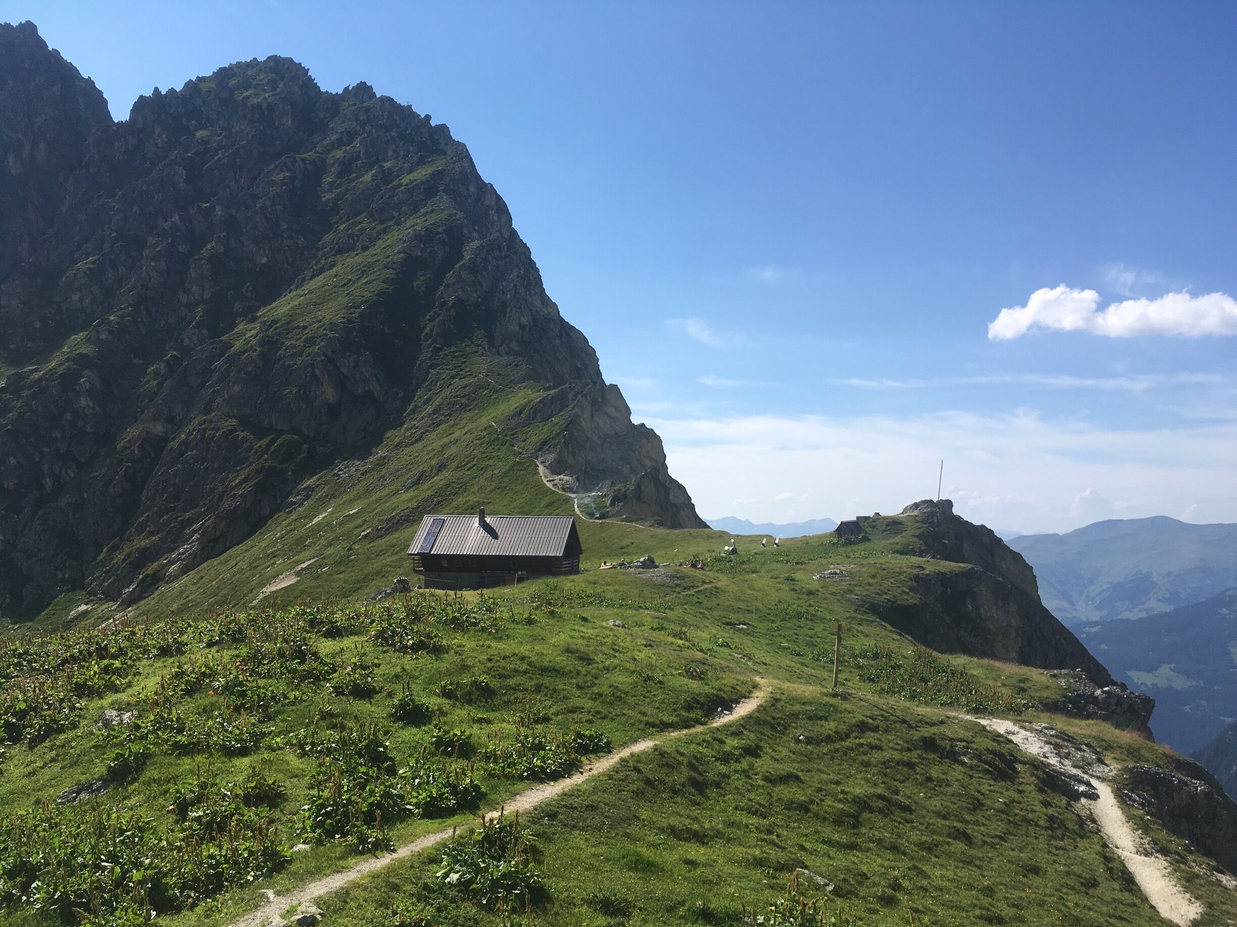 Just let it be 
#TroveOnTuesday-vive la France!
#nature