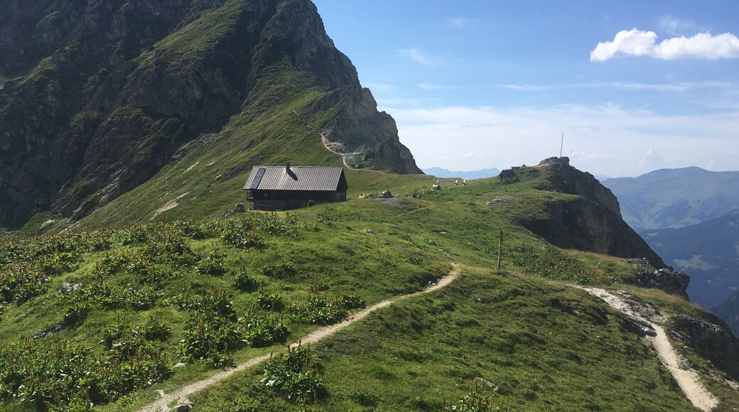 Just let it be
#TroveOnTuesday-vive la France!
#nature