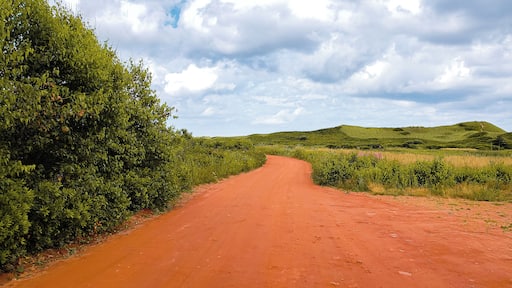Jumping on over to Morelle, PEI where I spent a few days exploring the area, you can find beautiful sandy beaches nearby. What I found interesting is that the north end of PEI is mostly white sandy beaches, the south side are red sand beaches. In Morelle, the land is red but as soon as you hit the beach, it turns white with beautiful large and protected sand dunes. There are no short supply of beaches on PEI so you never feel crowded by people. The north end in this particular location was very little rocks so it's best for swimming and lounging on the beach. It's also the best spot to watch the most incredible sunset ever.