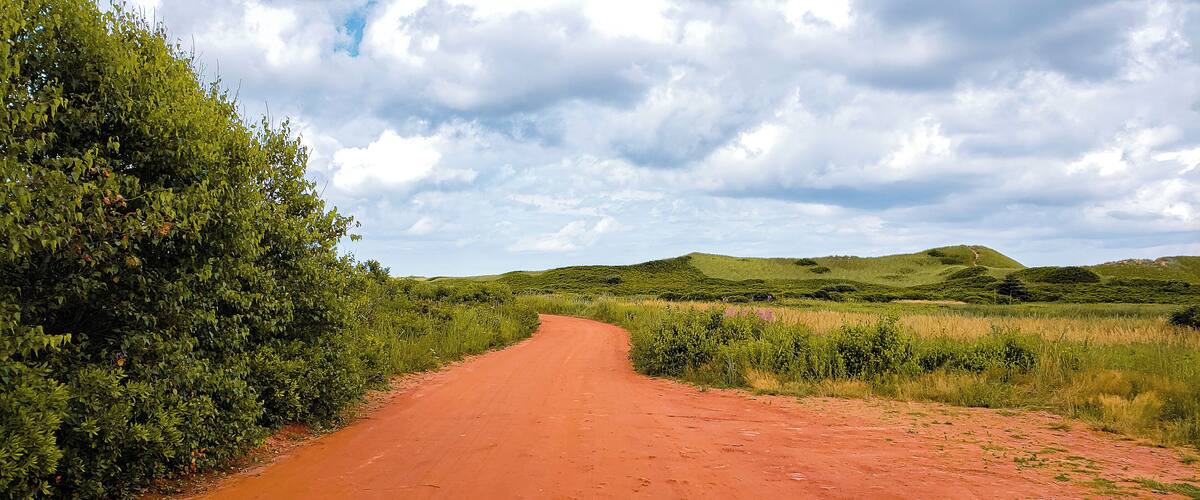 A dirt road winding through a green landscape with hills in the background.