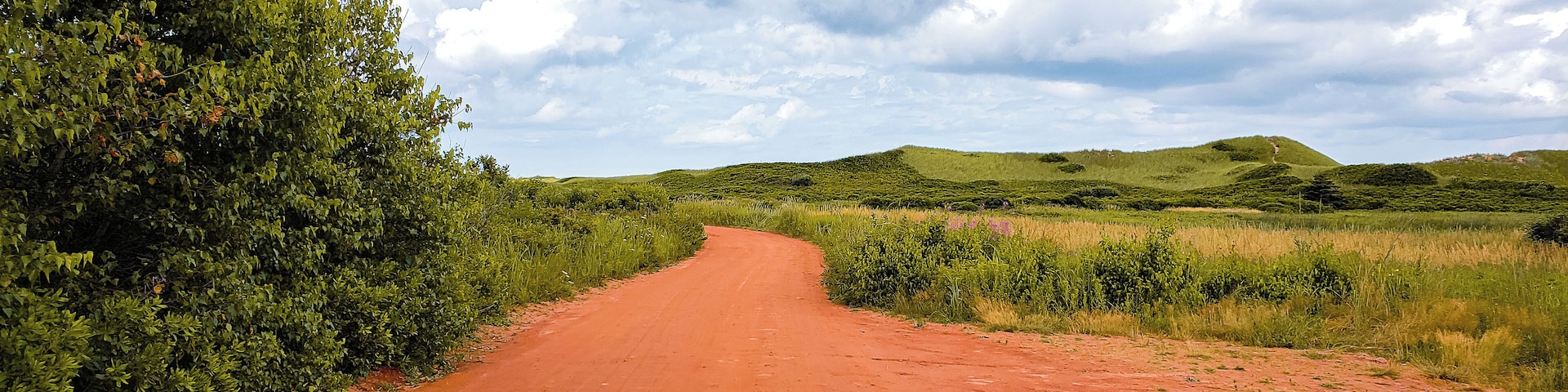 A dirt road winding through a green landscape with hills in the background.