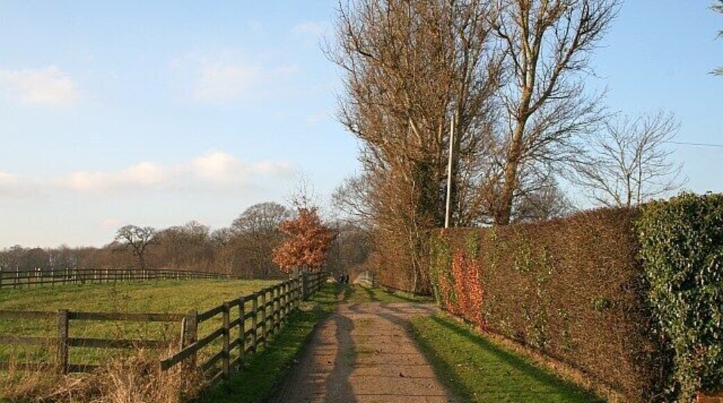 Bridleway to Sprat's Hatch Bridge. A public bridleway (Dogmersfield 4) connects Sprat's Hatch Lane with Swan's Farm 624586 via 1094785, and is here passing Sprat's Hatch Cottages.
