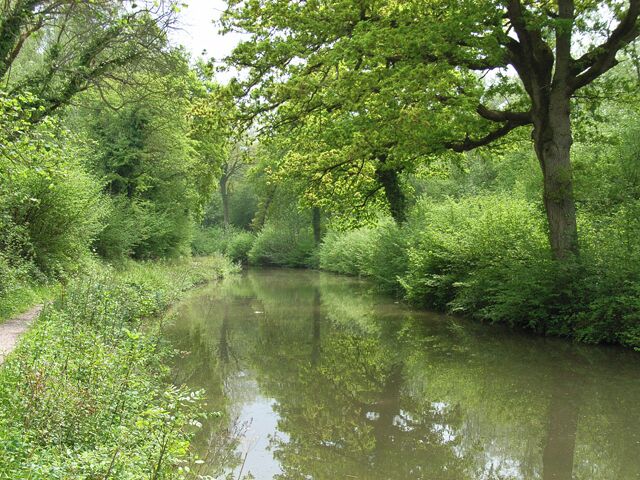 The Basingstoke Canal, near Crookham Village. Just before the turn left to the former site of Coxmoor Bridge.