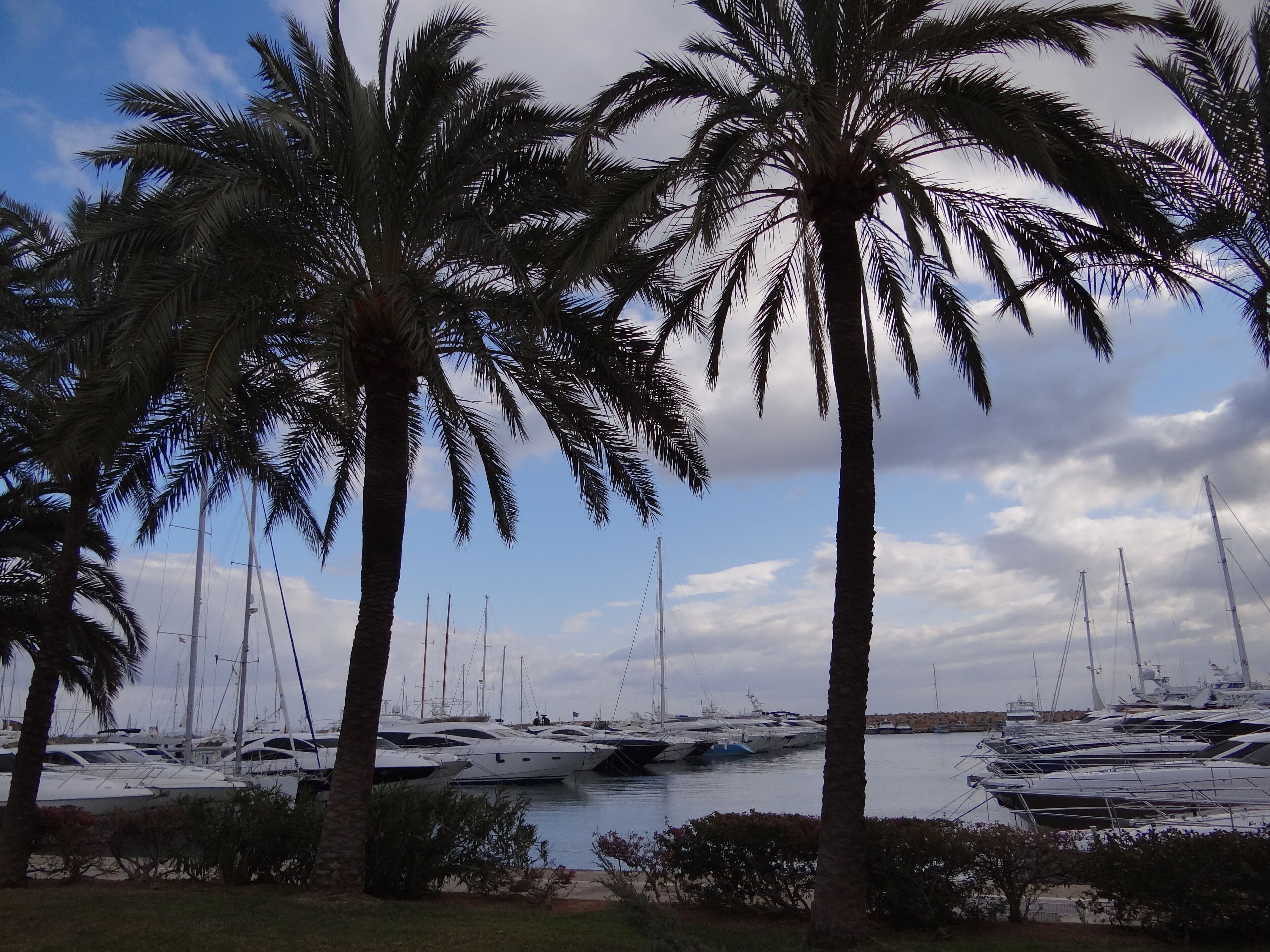 Portals Nous, Illes Balears, Spain