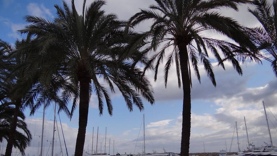 Portals Nous, Illes Balears, Spain