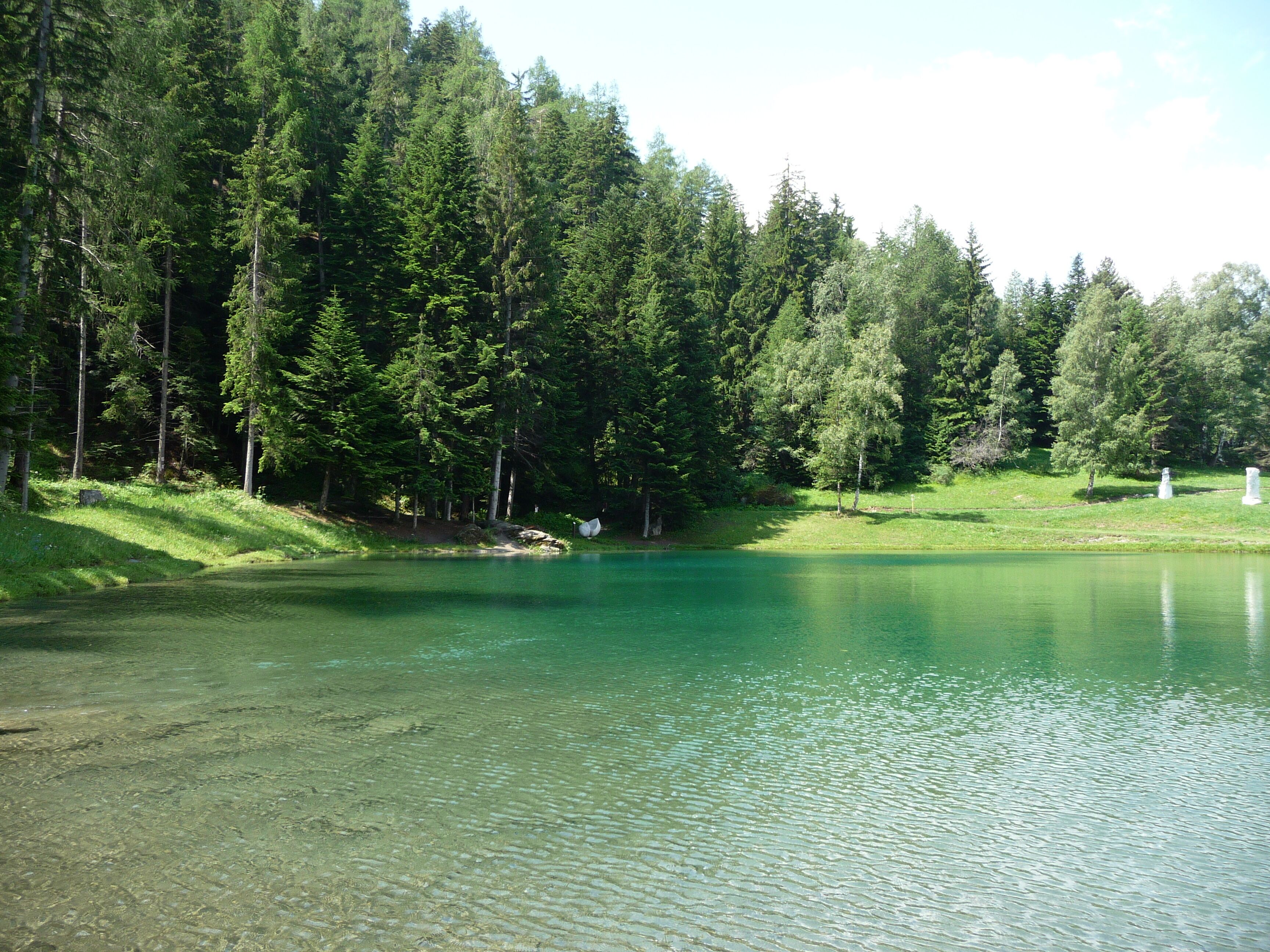 A clear lake surrounded by dense green forest.