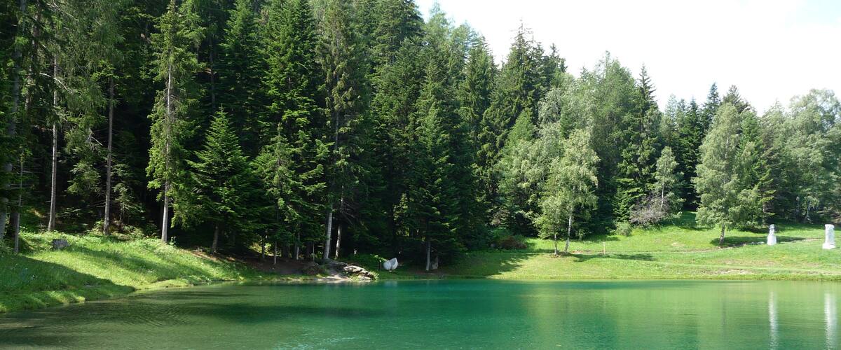 A clear lake surrounded by dense green forest.