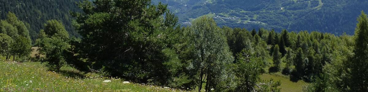 A valley with mountains, trees, and a clear sky.