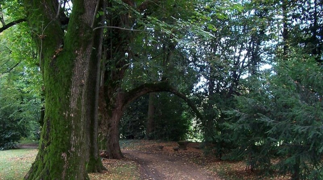Oreno - Parco di Villa Gallarati Scotti