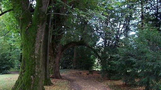 Oreno - Parco di Villa Gallarati Scotti