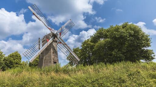 the marshes of Saint-Omer, seen from a boat