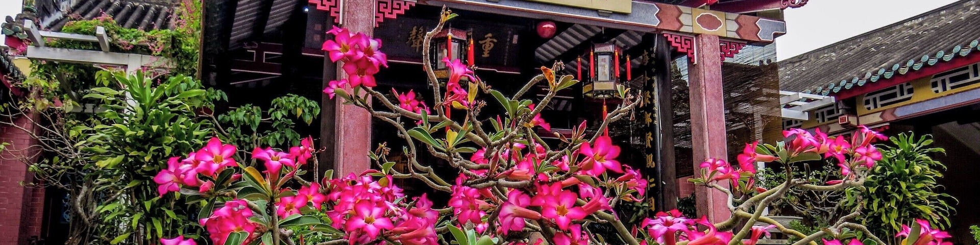 Hainan Assembly Hall in Hoi An, Vietnam. There are beautiful temples like this one in lovely city of Hoi An.