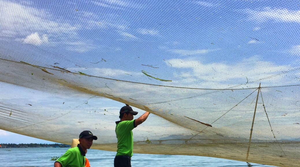 One of the most fun things we did during our family holiday to Vietnam was a Farming & Fishing Tour with Jack Trans Ecotours.
We got to ride a water buffalo, learn traditional farming & fishing methods and learn to ride these traditional basket boats. An awesome day out! #waterlust #Vietnam
You can read more about it here: http://www.mumonthemove.com/farming-and-fishing-tour-in-hoi-an-vietnam/