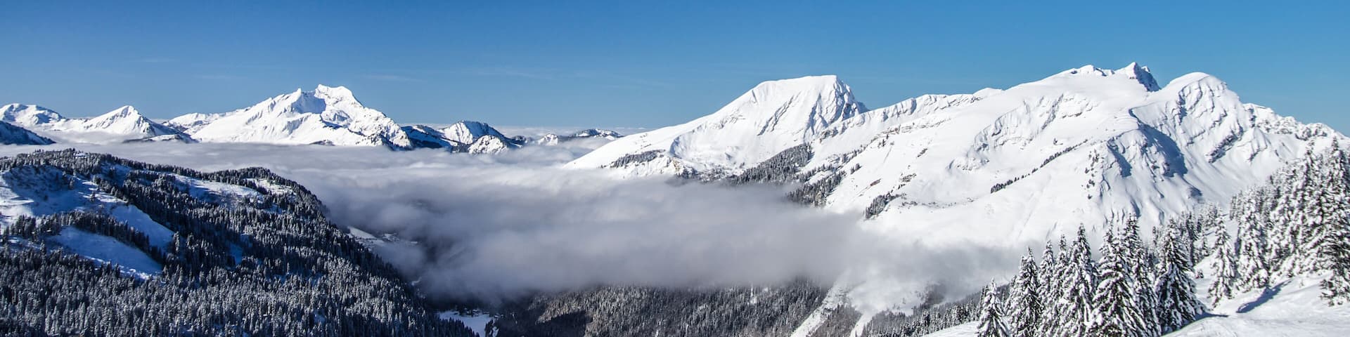 A snow-covered mountain range with a valley of evergreen trees.