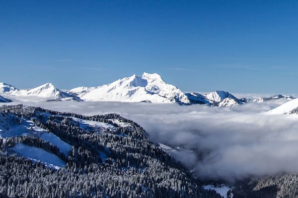 Ein verschneites Gebirge mit einem Tal voller immergrüner Bäume.