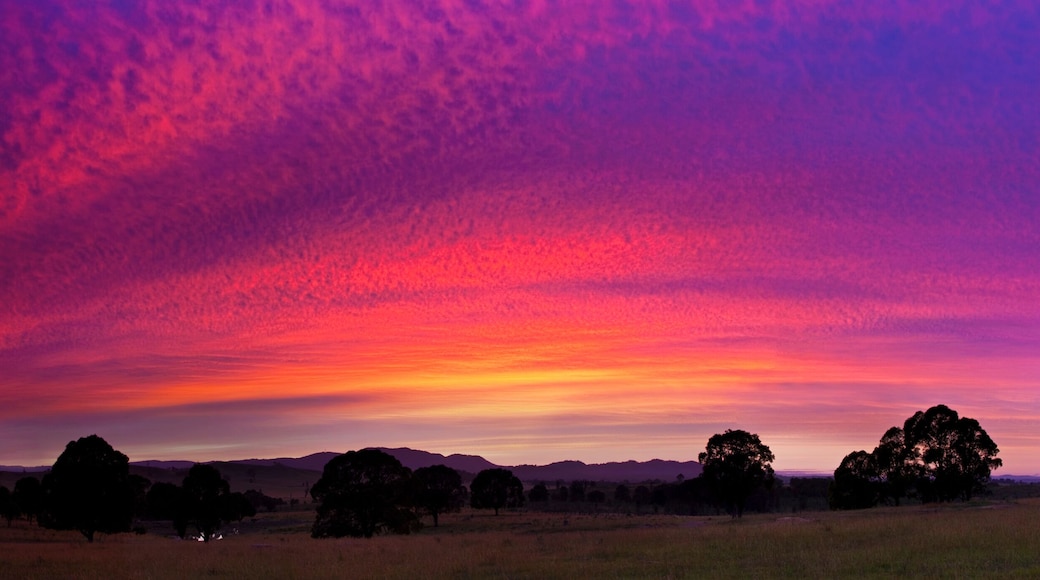Een zonsondergang boven een grasveld met bomen en heuvels in de verte.