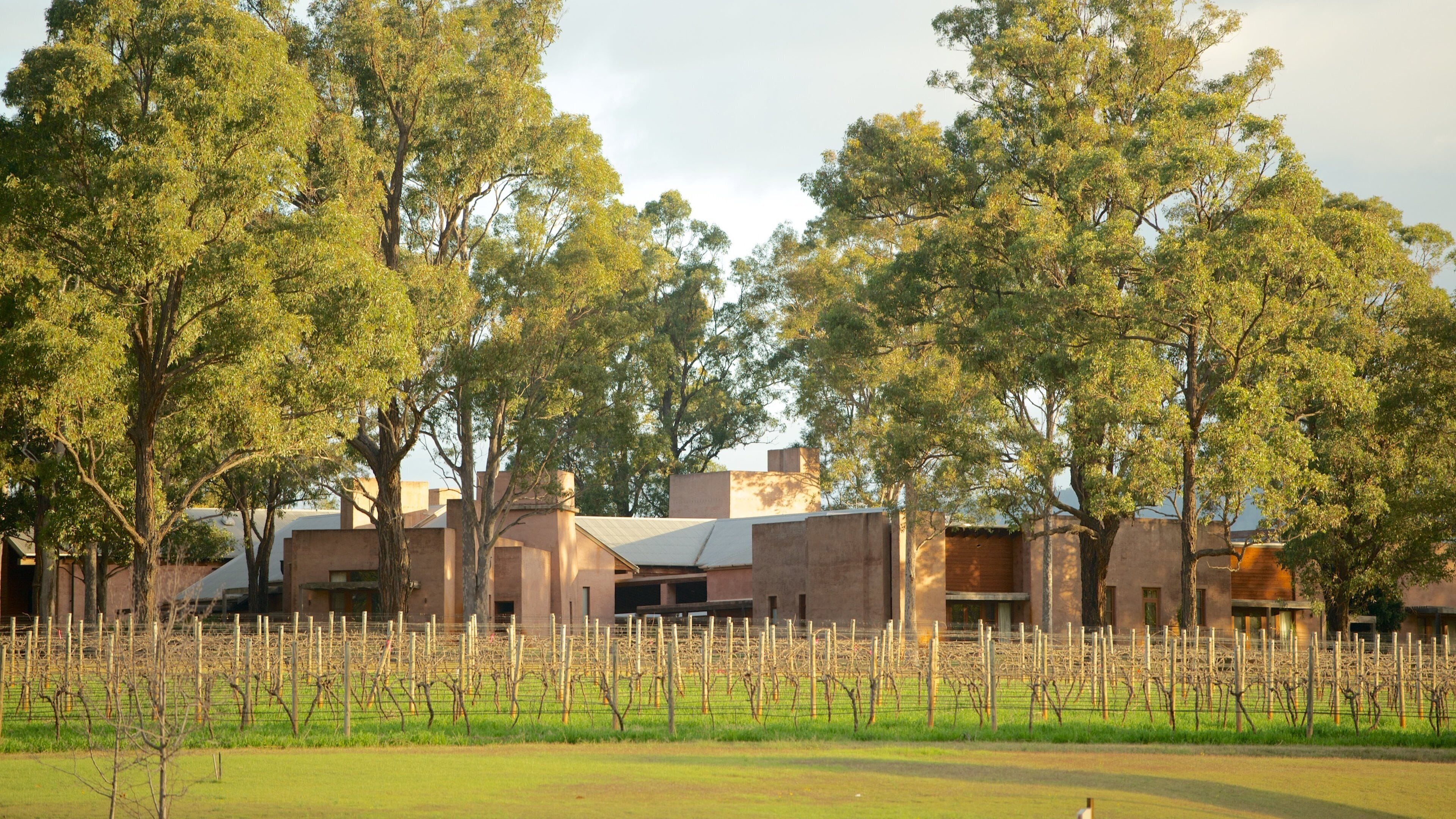 Hunter Valley mostrando paisagem e fazenda