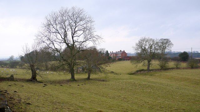 The Glebe Field, Heddon on the Wall Hadrian's Wall lies under the tarmac of Wade's Military Road for many miles west of Heddon. The Vallum running alongside it to the south is visible as parallel banks on the right side of the photograph maintained by the absence of cultivation.