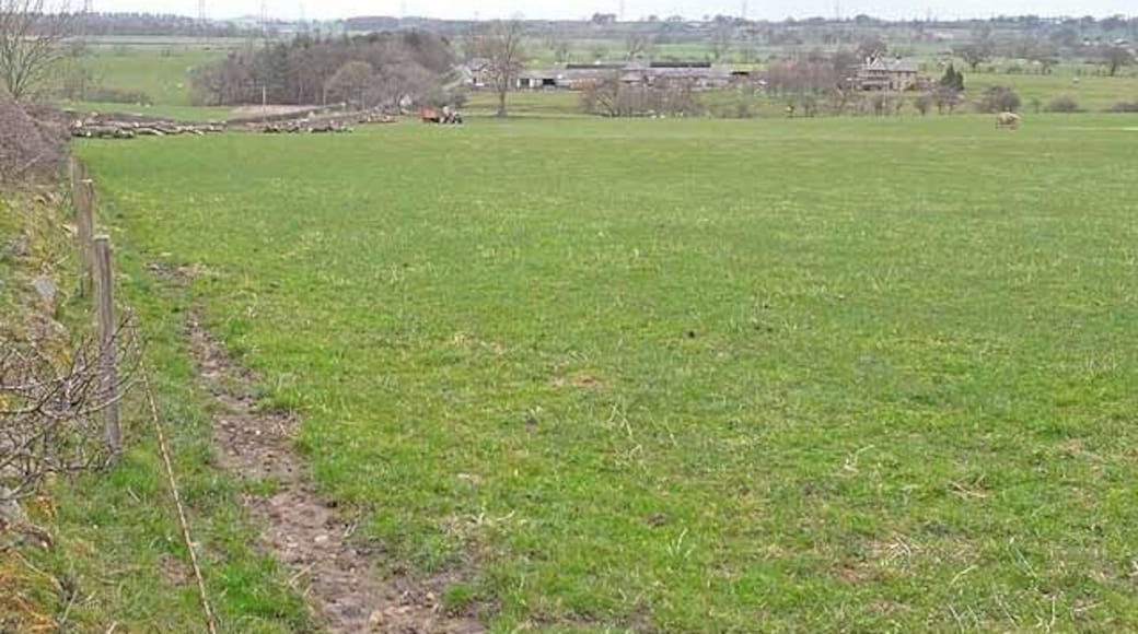 East Trewick Farm Farm near Belsay.