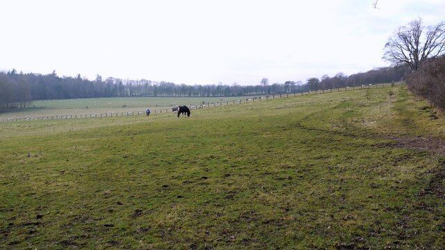 Grazing land between Heddon and Close House. The two sheep fields, beyond the one in the foreground with the horses, are currently subject to a planning application to develop a new 18-hole golf course and driving range for the Close House Estate. The footpath which currently crosses these fields in a diagonal line to the gate shown in 1095706 will be diverted along the boundary to the right.