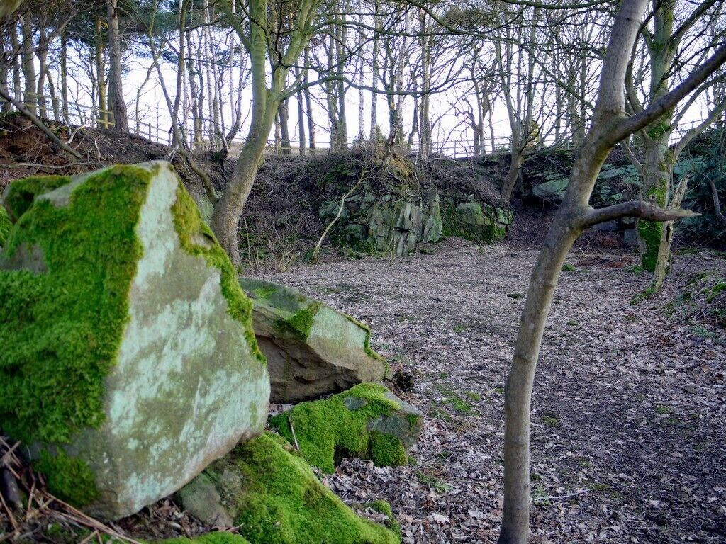 Old quarry, Heddon on the Wall