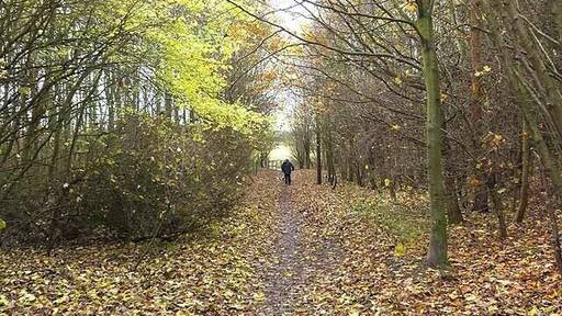 Reiver's Cycle Route at Seaton Burn