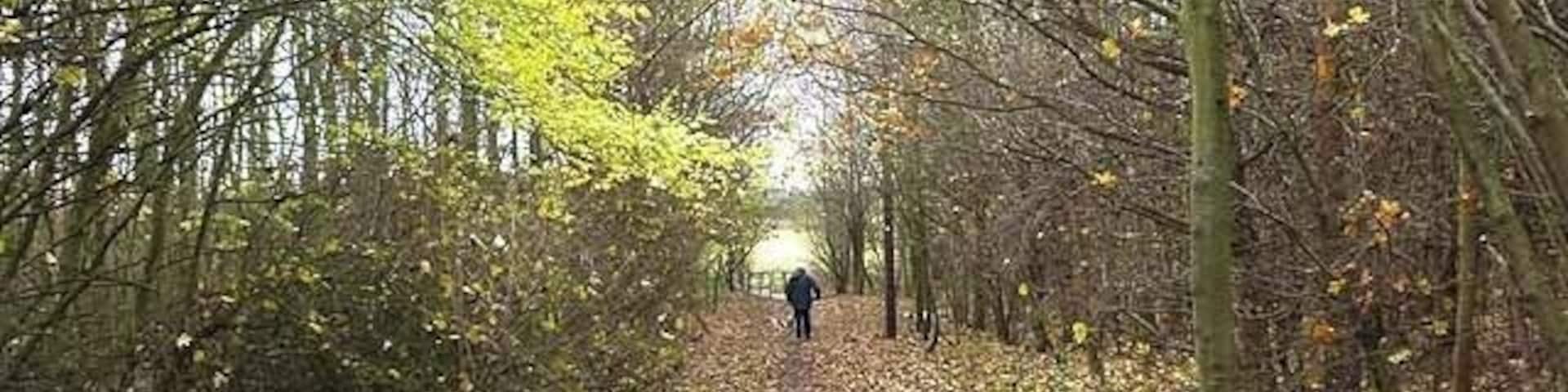 Reiver's Cycle Route at Seaton Burn