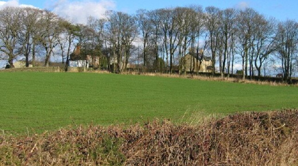 Ogle Hill Head. For Ogle 'Castle' (actually a Manor House) see NZ1479 and for a bit of Ogle history see: http://www.ogles.org/ogle.htm