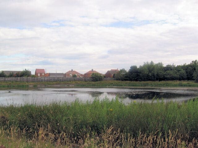 Pond near Village Hotel