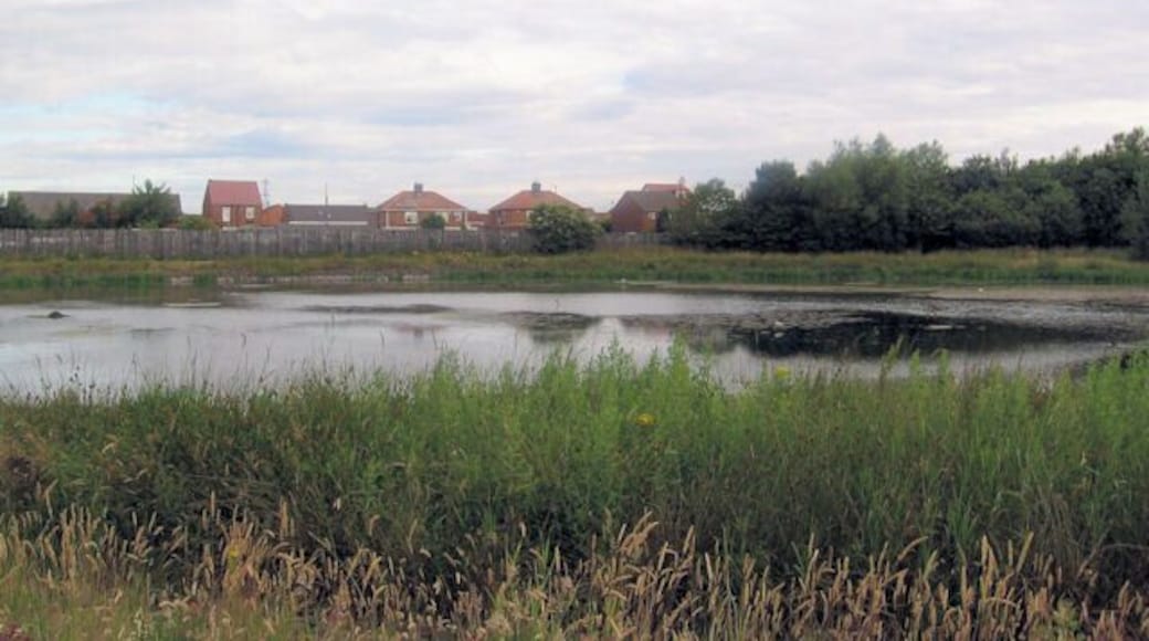 Pond near Village Hotel