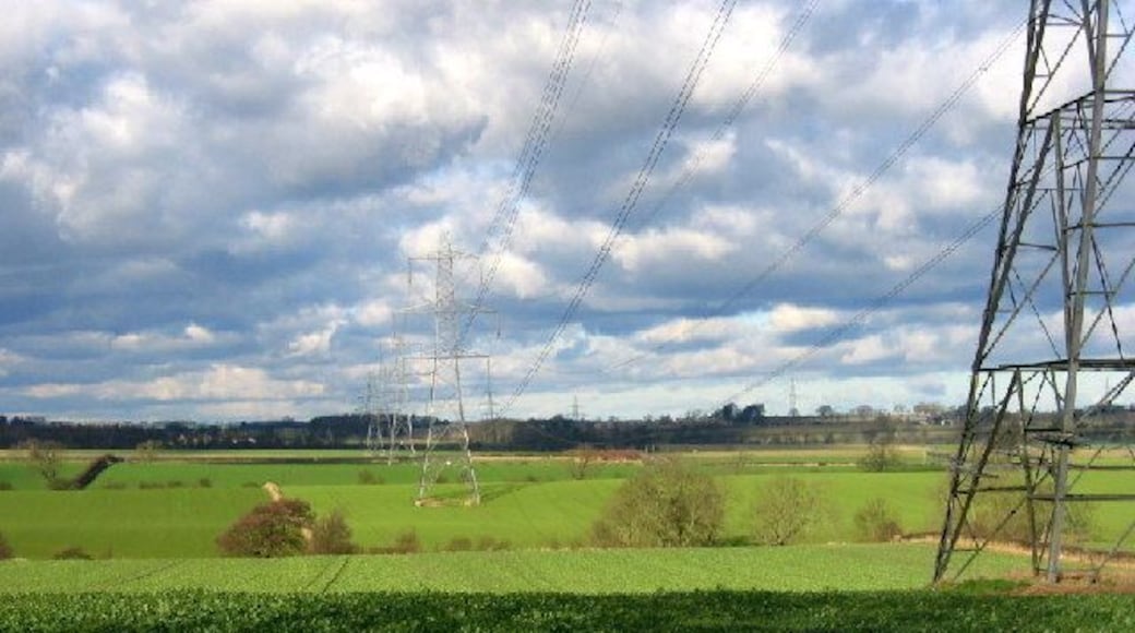 Pylons and the River Blyth. Here, near Hedchester Law, the Blyth is only a small Burn at the bottom of the first dip in the picture, marked by the tops of the trees. Somehow the pylons, striding away into the distance, are not an eyesore!